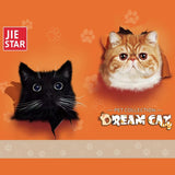 JIE STAR JJ9042 Cat