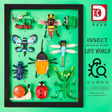 DKCX 7004 Insect Kingdom