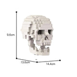 MOC 41161 Human Skull with brain